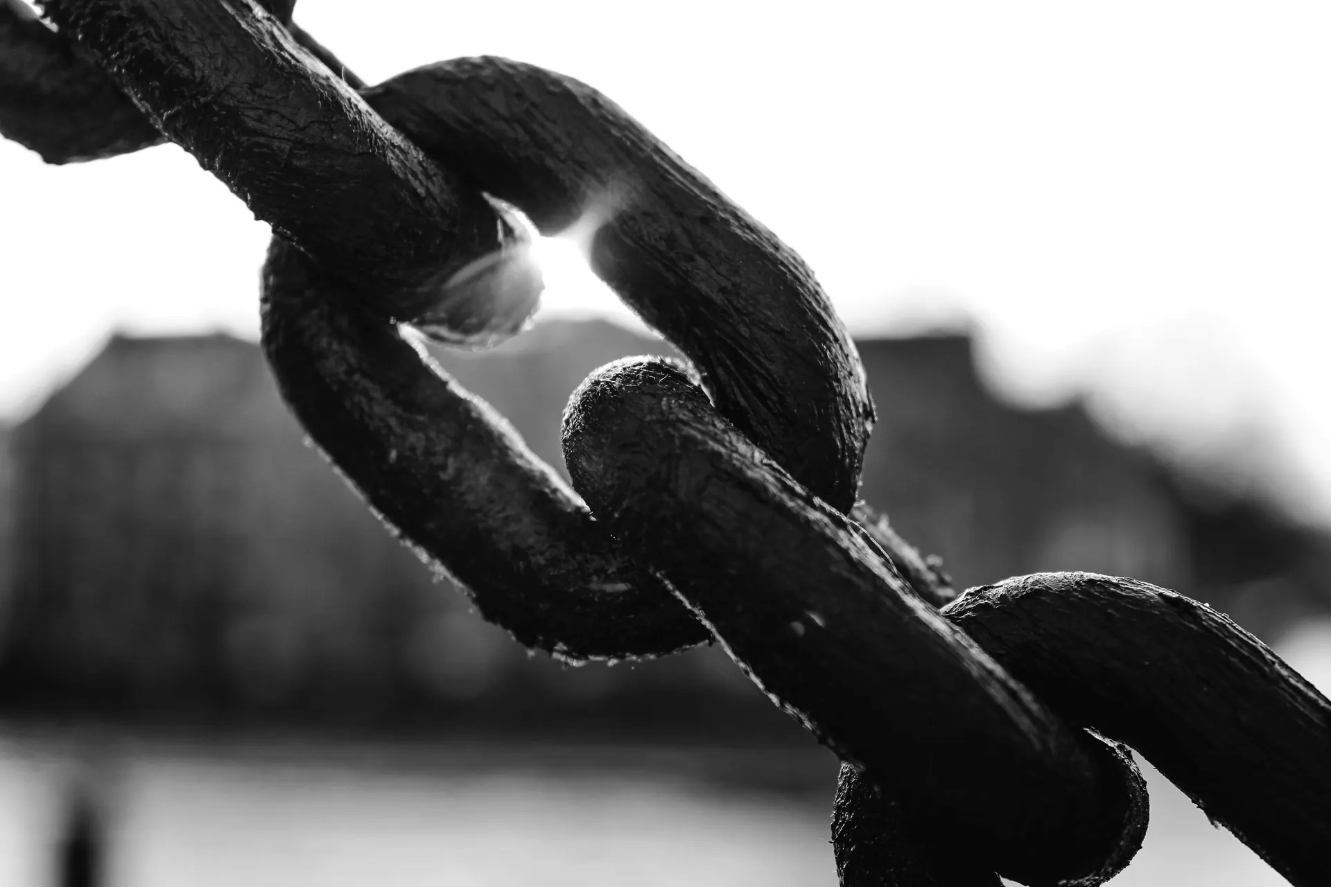 Chain links